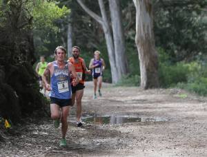 USATF PA XC Finals at Golden Gate Park, Nov 16 2014. To see all the photos, go to the Empire Shutterfly page, https://empirerunnersclubphotos.shutterfly.com